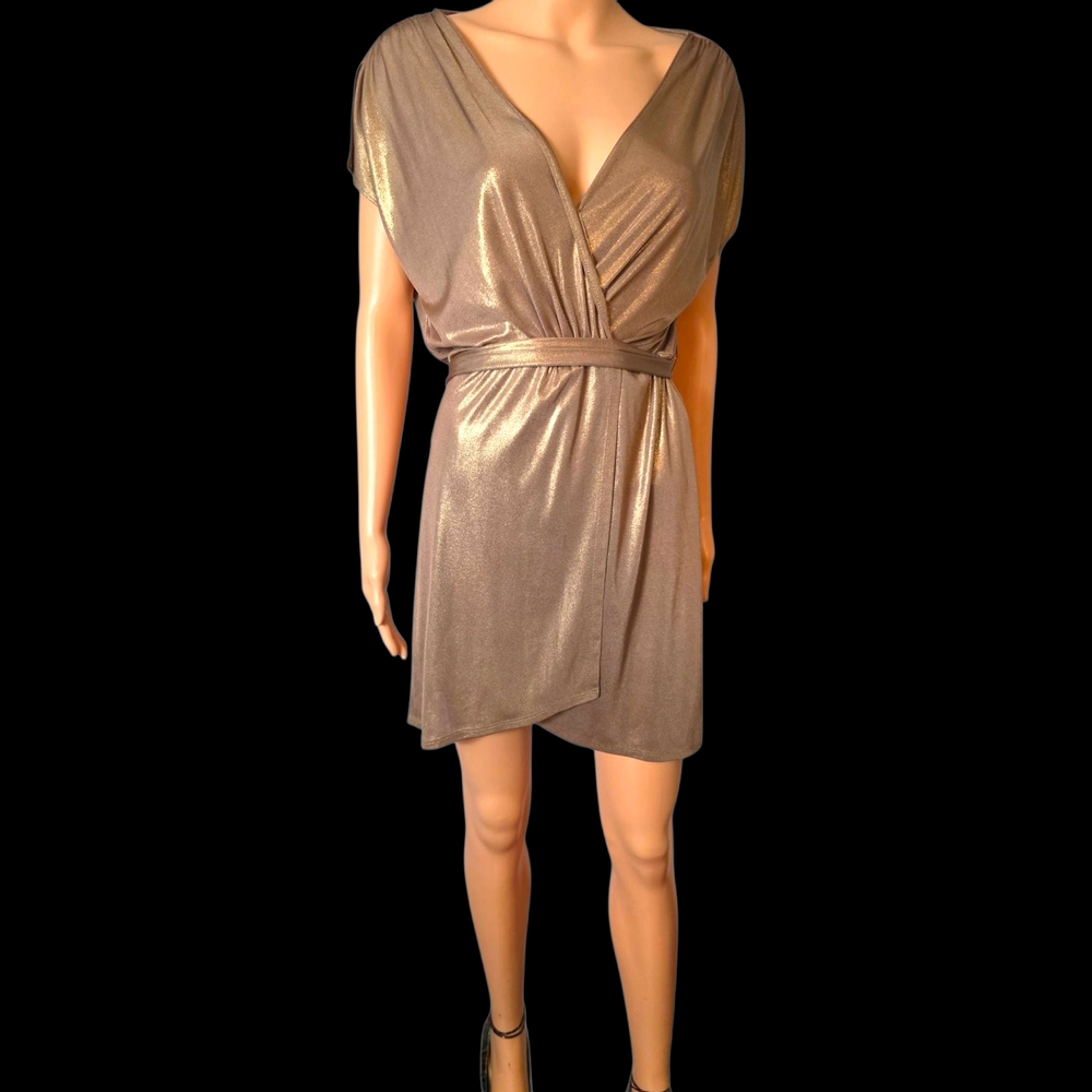 Elegant Metallic Dress